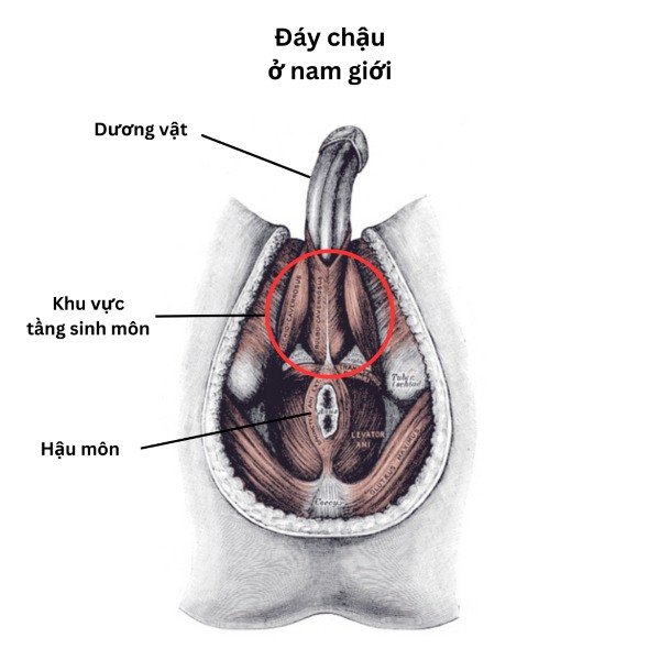Điểm G là vùng cực kỳ nhạy cảm