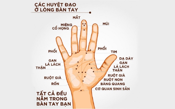 Kỹ thuật xoa bóp bàn tay